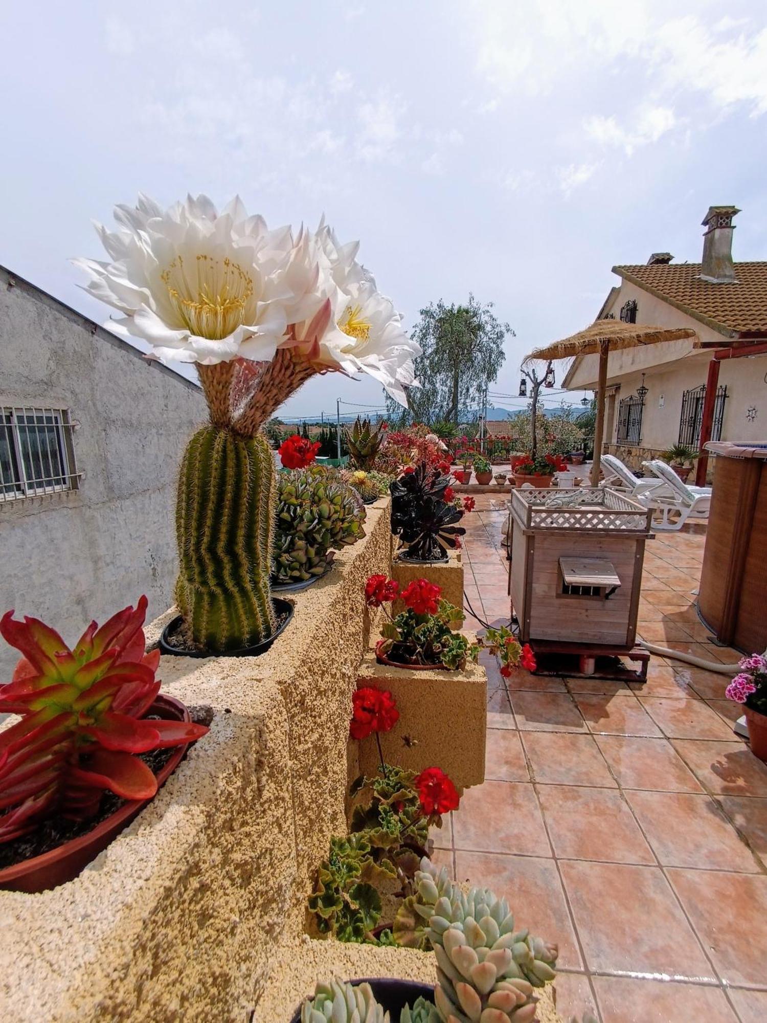 Casa Chalet Venta Ruizo Lorca  Ngoại thất bức ảnh